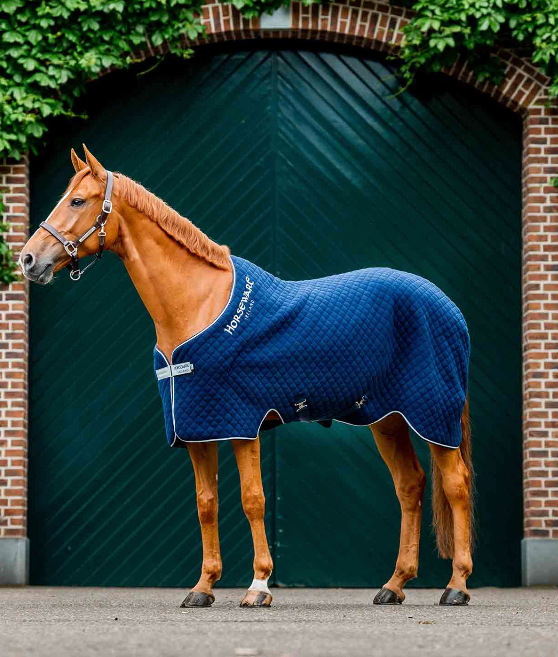 Horseware Autumn Cooler