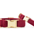 The Foggy Dog Velvet Collar - Horse & Hound Tack Shop