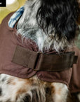 Horseware® Newmarket Heritage Dog Coat - Horse & Hound Tack Shop