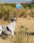 Chuckit Paraflight Flyer