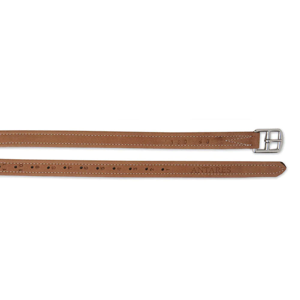 Antarès Classic Stirrup Leathers - Horse & Hound Tack Shop