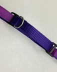 Martingale Collar