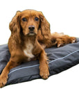 Henry Wag Brecon Adventure Bed