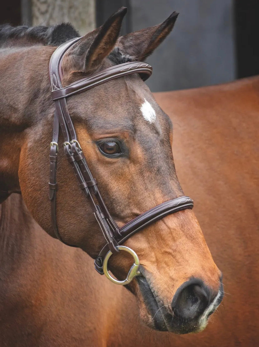 Shires Lusso Hunter Cavesson Bridle