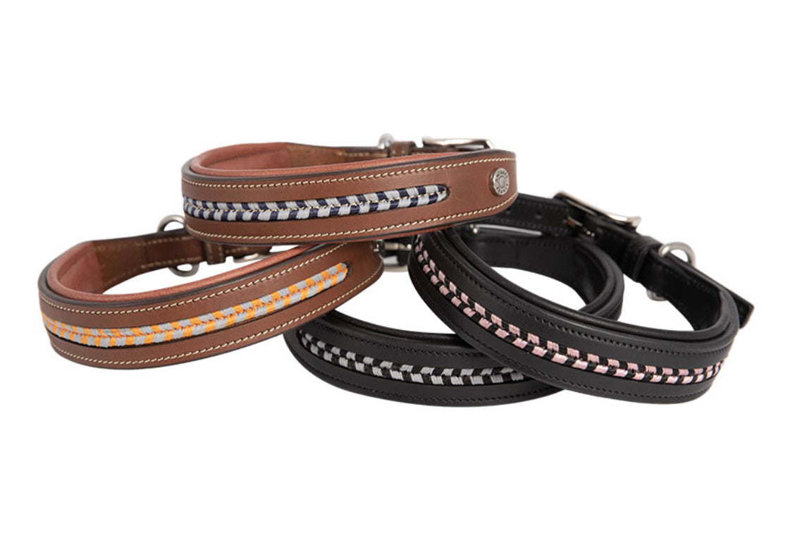 Cool leather hotsell dog collars