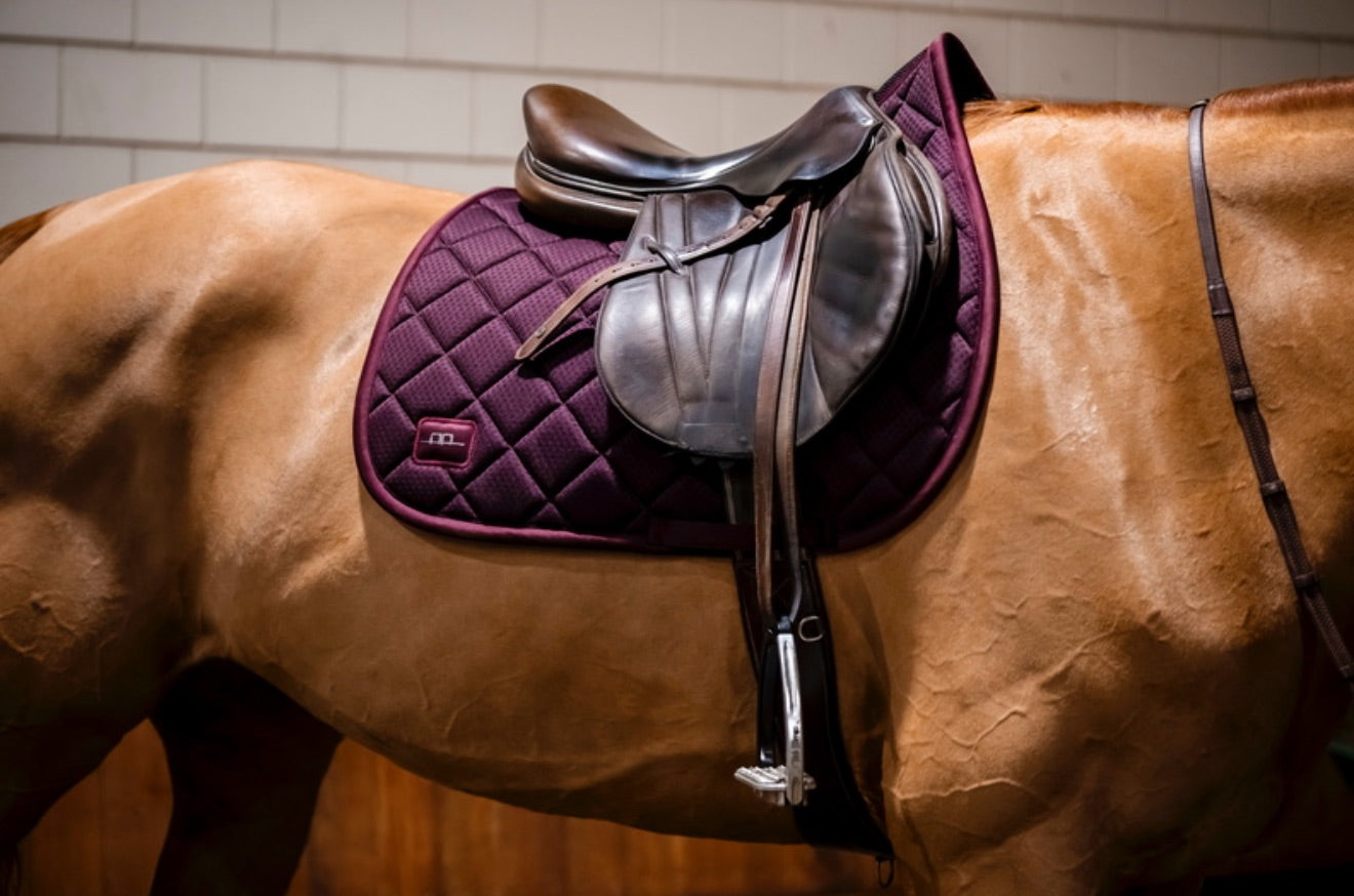 AA Performance Saddle Pad - Horse & Hound Tack Shop