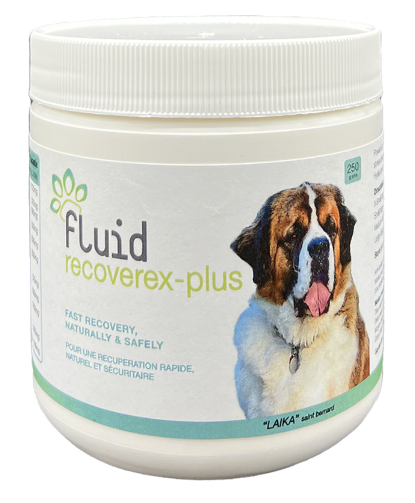 Basic Equine Fluid Recoverex Plus Canine Horse Hound Tack Shop