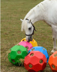 Parallax Hay and Play Ball - Horse & Hound Tack Shop