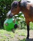 Parallax Hay and Play Ball - Horse & Hound Tack Shop