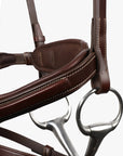 Signature Sport by Antares Flash Bridle - Horse & Hound Tack Shop