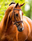 BR Cheltenham Flash Bridle - Horse & Hound Tack Shop