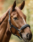 Waldhausen S-Line Glamour Halter