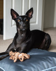 Henry Wag Brecon Adventure Bed