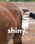 Shiny. A Mane & Tail Conditioner 28oz - Horse & Hound Tack Shop