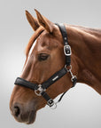Waldhausen Breathe Halter - Horse & Hound Tack Shop