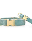 The Foggy Dog Velvet Collar - Horse & Hound Tack Shop