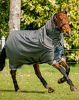 Amigo® Bravo 12 Plus Turnout (250g Medium)