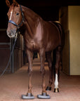Waldhausen Health + Care Balance Pads - Horse & Hound Tack Shop