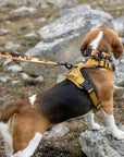 Summit All-Terrain Dog Harness - Horse & Hound Tack Shop