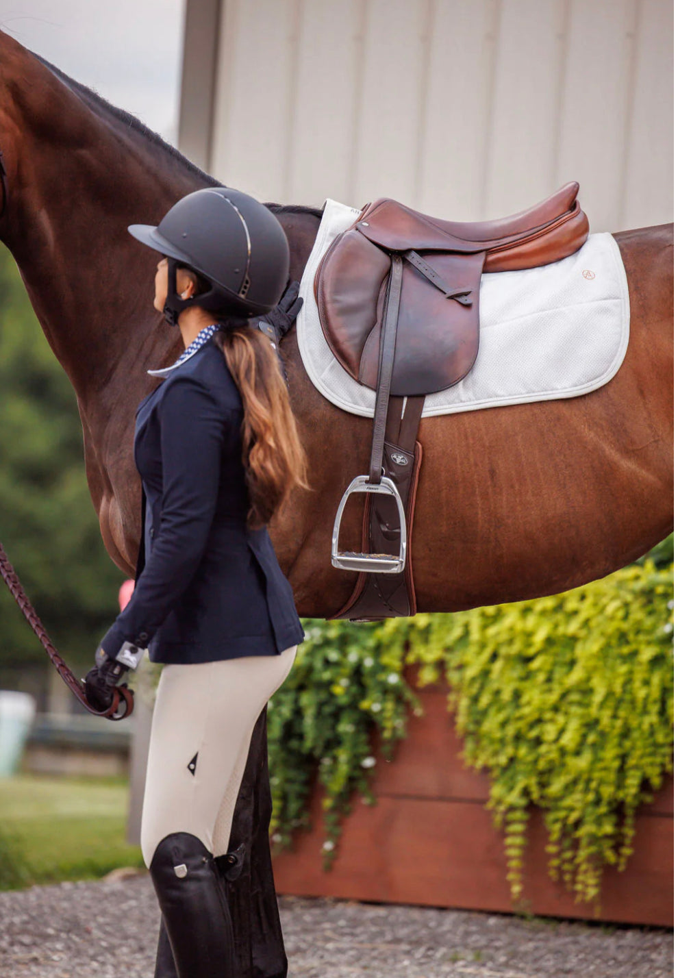 Anatomeq Perfeq Jumper Pad - Horse & Hound Tack Shop