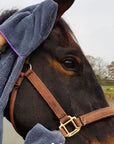 Henry Wag Equine Glove Towel - Horse & Hound Tack Shop