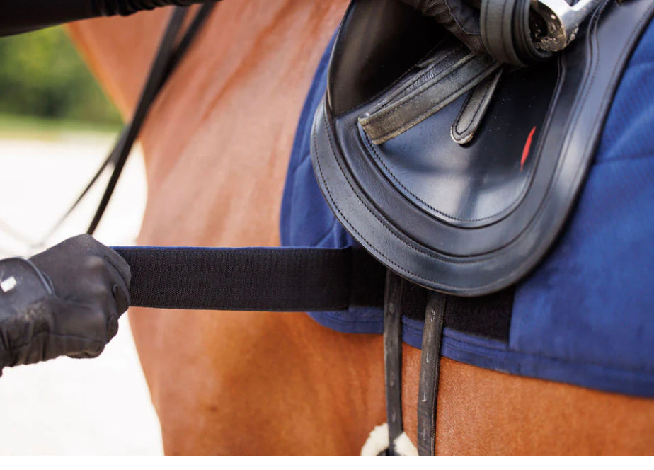 Anatomeq Perfeq Dressage Pad - Horse & Hound Tack Shop