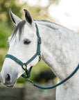 Horseware Newmarket Halter & Leadrope