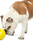GURU Giggling Tennis Ball Toy