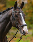 Passier Confidence Bridle - Horse & Hound Tack Shop