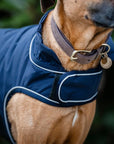 Horseware Signature Padded Dog Coat - 100g - Horse & Hound Tack Shop