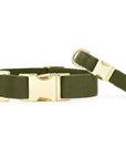 The Foggy Dog Collar - Horse & Hound Tack Shop