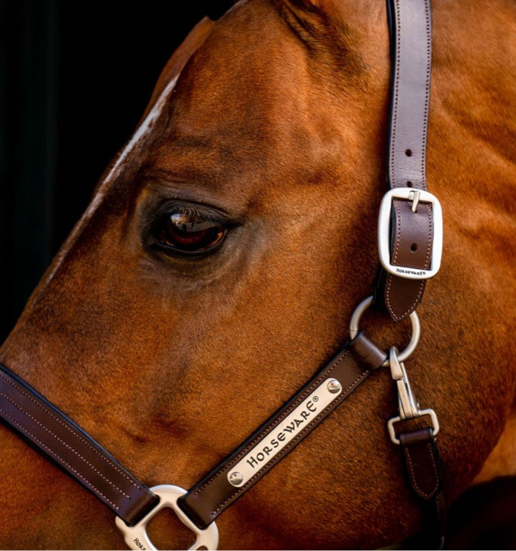 Horseware Signature Leather Headcollar Horse Hound Tack Shop