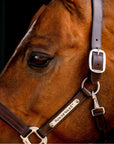 Horseware Signature Leather Headcollar - Horse & Hound Tack Shop