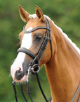 PASSIERBLU Dream Double Bridle