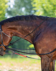 Waldhausen W-Train Reins