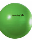 Mega Ball by Horseman’s Pride 40”