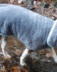Henry Wag® MicroFibre Drying Dog Coat - Horse & Hound Tack Shop