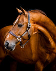 Horseware Signature Leather Headcollar - Horse & Hound Tack Shop