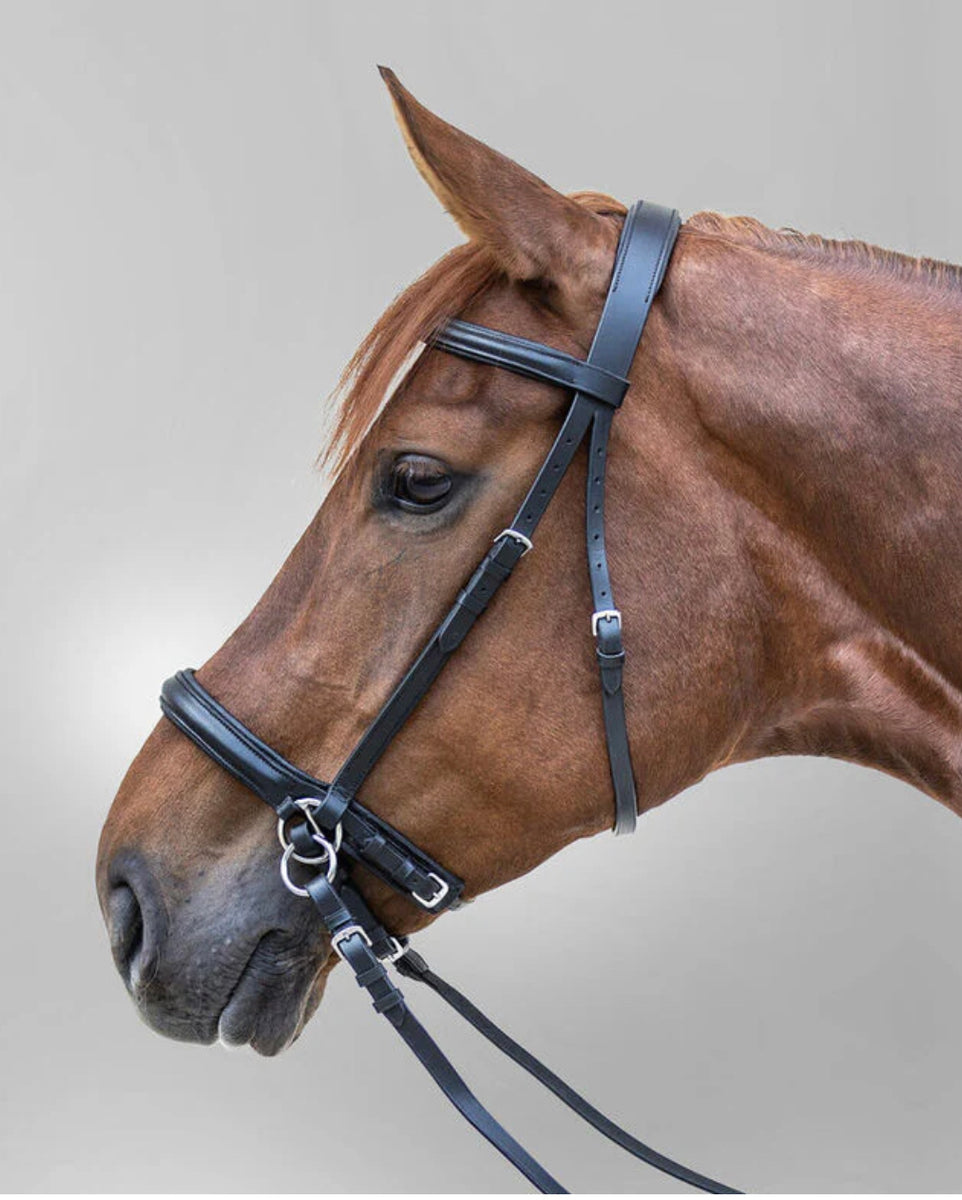 slow スロウ　bridle money clip スロウマネークリップ
