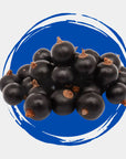 Livestrong Berry Power Superfood Dental Stick 6” - Horse & Hound Tack Shop