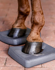 Waldhausen Health + Care Balance Pads - Horse & Hound Tack Shop