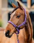 Horseware Amigo® Headcollar & Leadrope Set