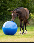 QHP Horse Paddock Ball