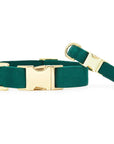 The Foggy Dog Collar - Horse & Hound Tack Shop