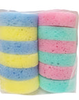 Jack’s Rainbow Tack Sponges - Pack of 12