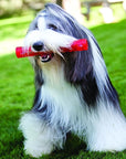 Kong Squeezz Stick - Horse & Hound Tack Shop