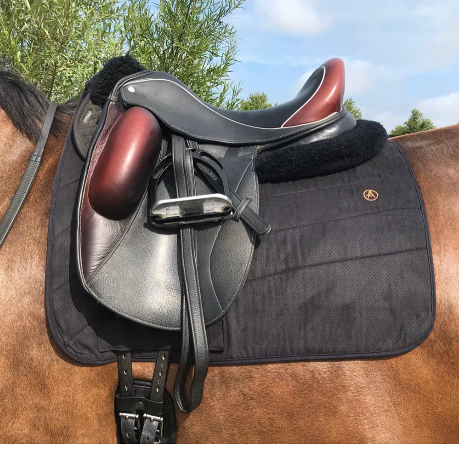 Anatomeq Perfeq Dressage Pad - Horse & Hound Tack Shop