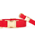 The Foggy Dog Collar - Horse & Hound Tack Shop