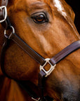 Horseware Signature Leather Headcollar - Horse & Hound Tack Shop