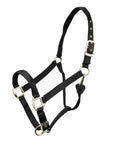 Shires Arma Breakaway Halter - Horse & Hound Tack Shop